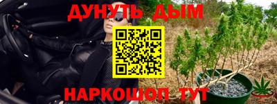 гашик Краснознаменск