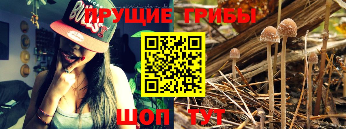 Ишим  Псилоцибиновые грибы MAGIC MUSHROOMS  Вход с VPN  Галлюциногенные грибы Magic Shrooms 