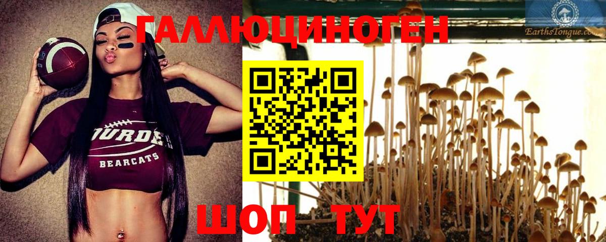 Псилоцибиновые грибы MAGIC MUSHROOMS Ишим